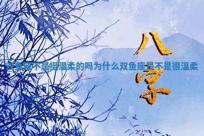 双鱼座不是挺 🎴 温柔的吗为什么 双鱼座是不 🏣 是很温柔