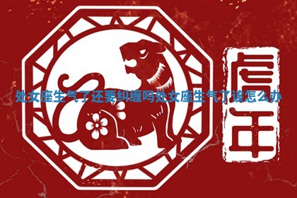 处女 ⛎ 座生气了还要纠缠吗 处女座生气 ⏲ 了该怎么办