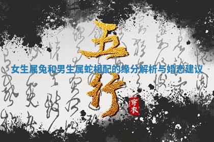 女生属兔和男生属蛇相配 😴 的缘分解 🔤 析与婚恋建议