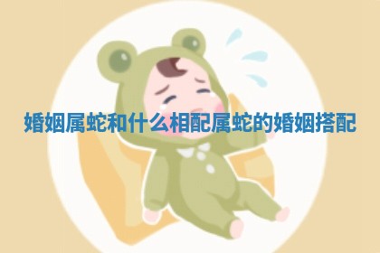 婚姻属 🐠 蛇和什么 🌼 相配 属蛇的婚姻搭配
