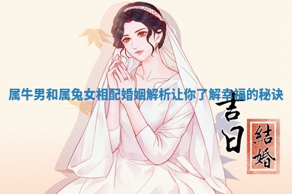 属牛男和属兔 ⛳ 女相配婚姻解析让你了解 🦘 幸福的秘诀 属牛男和属兔 ⛳ 女相配婚姻解析让你了解 🦘 幸福的秘诀