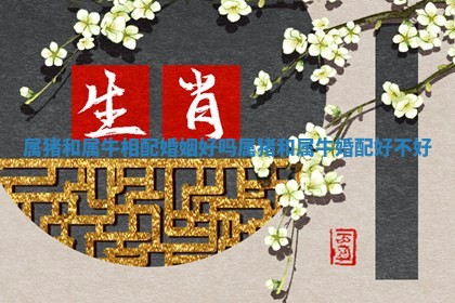 属猪和属牛相配婚姻好吗_属猪和 ➿ 属牛婚 👂 配好不好