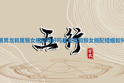 属男龙和属猴女相配吗好吗_属龙男和猴女 📶 相配 🚂 婚姻如何