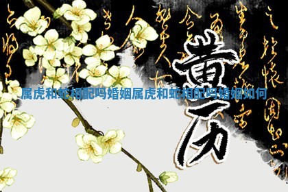 属虎 🚹 和蛇相配吗婚姻 ✳ 属虎和蛇相配吗婚姻如何