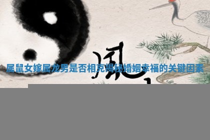 属鼠女嫁属龙男是否相克揭秘婚 🎊 姻幸福的 🗒 关键因素
