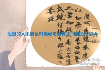 属鼠的人杀老鼠吗揭秘与运势 🌫 之间的关系解 🚾 析