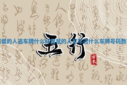 属鼠 🦓 的人选车牌什么好_属 🏂 鼠的人买车选什么车牌号码数字