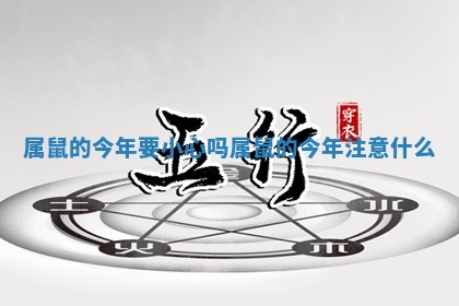 属鼠的今年 ⛓ 要小心吗 🎬 _属鼠的今年注意什么