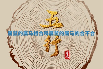 属鼠的属马相合吗 属鼠的属马 🔥 的合不 ➰ 合