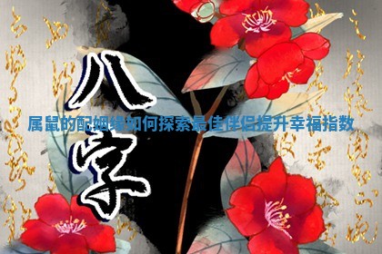 🏛 属鼠 👃 的配姻缘如何探索最佳伴侣提升幸福指数