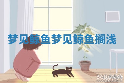 梦 🗽 见鲸鱼 梦见 🌰 鲸鱼搁浅