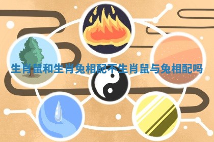 生肖鼠和生肖 🏎 兔相配不 🥠 生肖鼠与兔相配吗