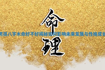 男孩八字木命好不 🍿 好揭秘如何影响未来发 🛥 展与性格成长