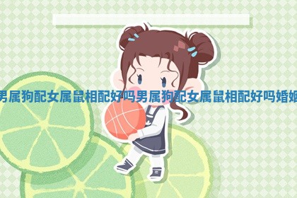 男属狗配女属鼠相配好吗_男属狗配女属鼠 🖲 相配 ⚡ 好吗婚姻