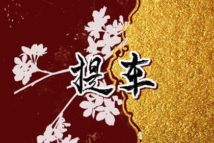 农历2025年四月十四黄历提取新车适宜吗,提车吉日