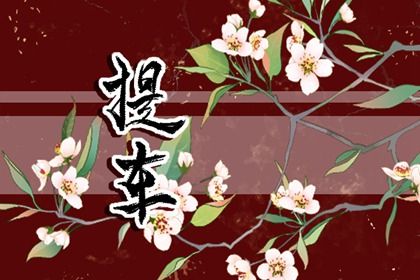 2025年5月14日适合提取爱车吗,提车是好日子吗